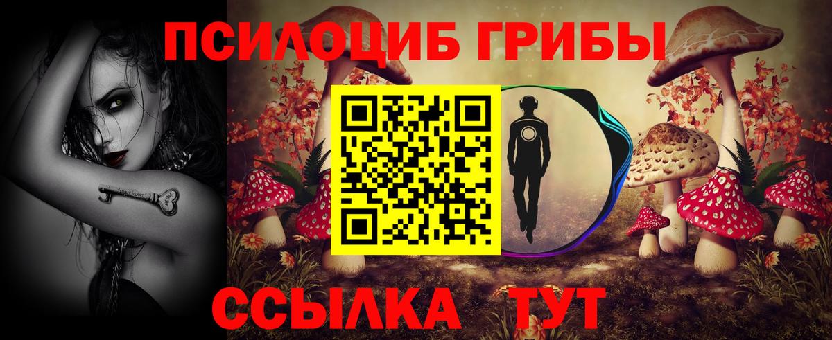 даркнет сайт  Псилоцибиновые грибы Psilocybine cubensis  Вход с VPN  Златоуст  Псилоцибиновые грибы мицелий 